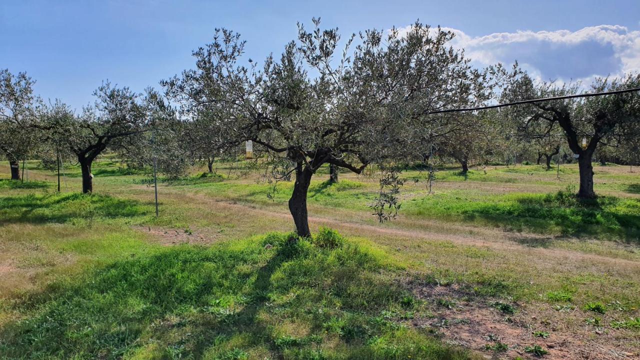 Agriturismo Corte Degli Ulivi Capoterra Bagian luar foto