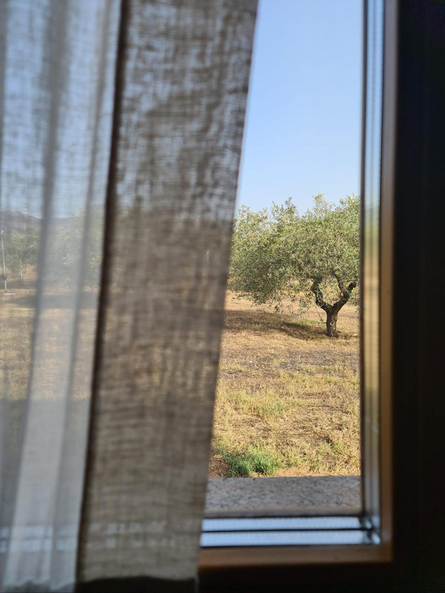 Agriturismo Corte Degli Ulivi Capoterra Bagian luar foto