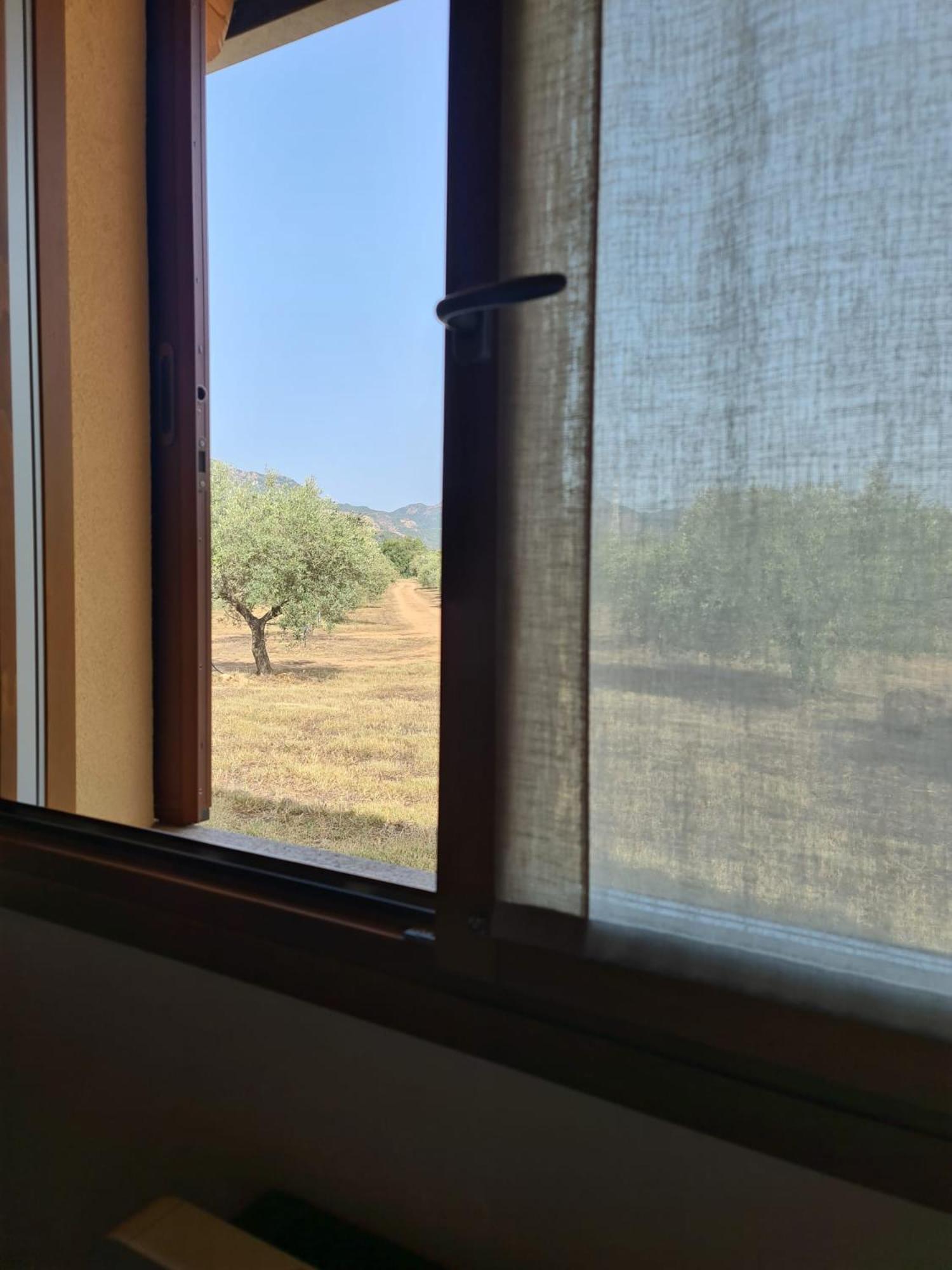Agriturismo Corte Degli Ulivi Capoterra Bagian luar foto