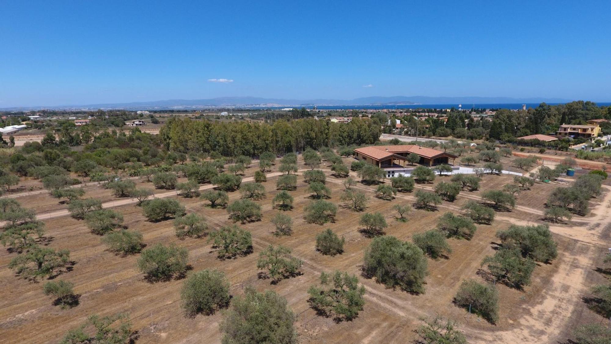 Agriturismo Corte Degli Ulivi Capoterra Bagian luar foto
